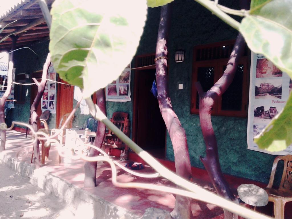Bluesky Guest House Dambulla Eksteriør billede