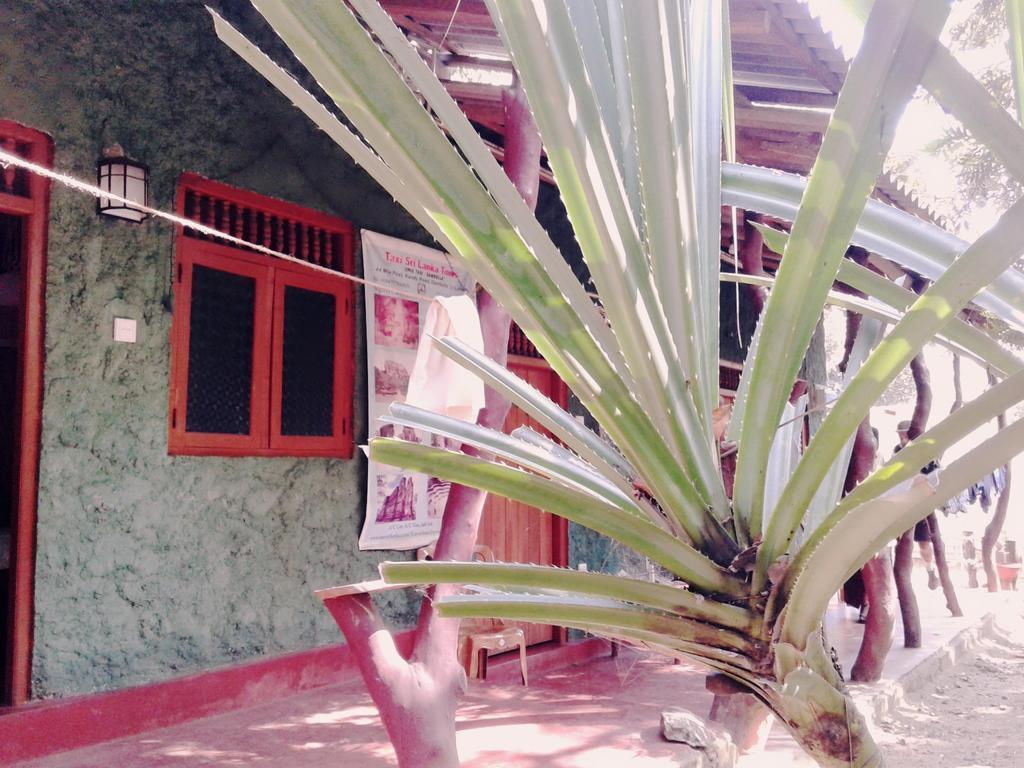 Bluesky Guest House Dambulla Eksteriør billede